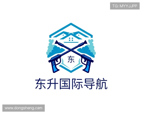 洞察东升国际导航